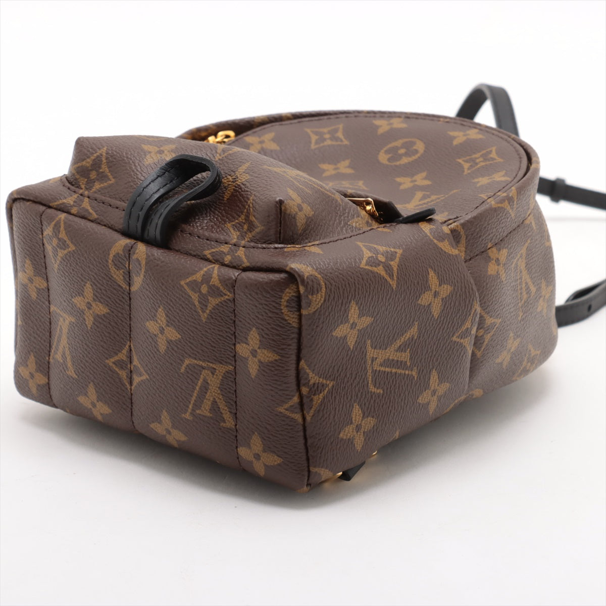 Louis Vuitton Palm Springs Mini Monogram Coated Canvas Backpack