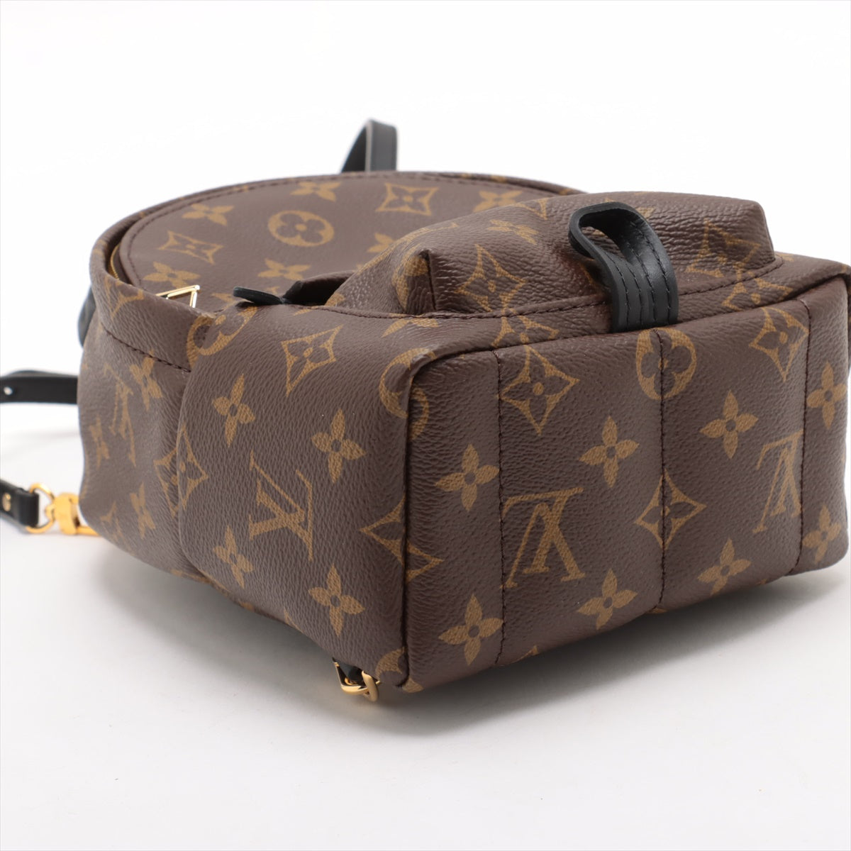 Louis Vuitton Palm Springs Mini Monogram Coated Canvas Backpack